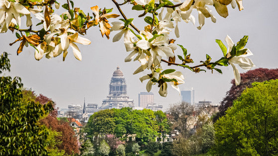 🌸 Les 5 indispensables pour un printemps réussi avec Hopono ! 🌿🌞
