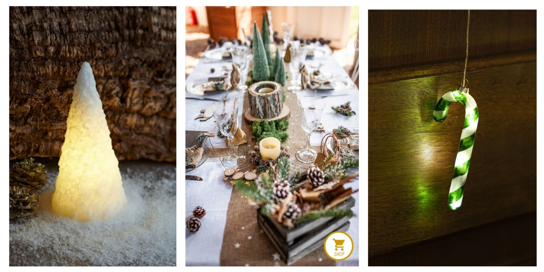 Objectif :  une déco de Noël lumineuse !