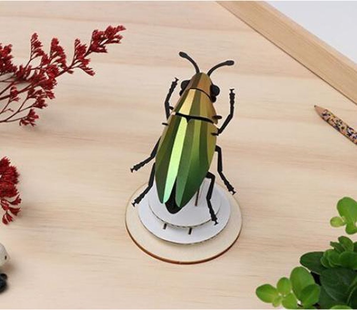 Scarabée Bijoux  en Papier - Vert Mangue