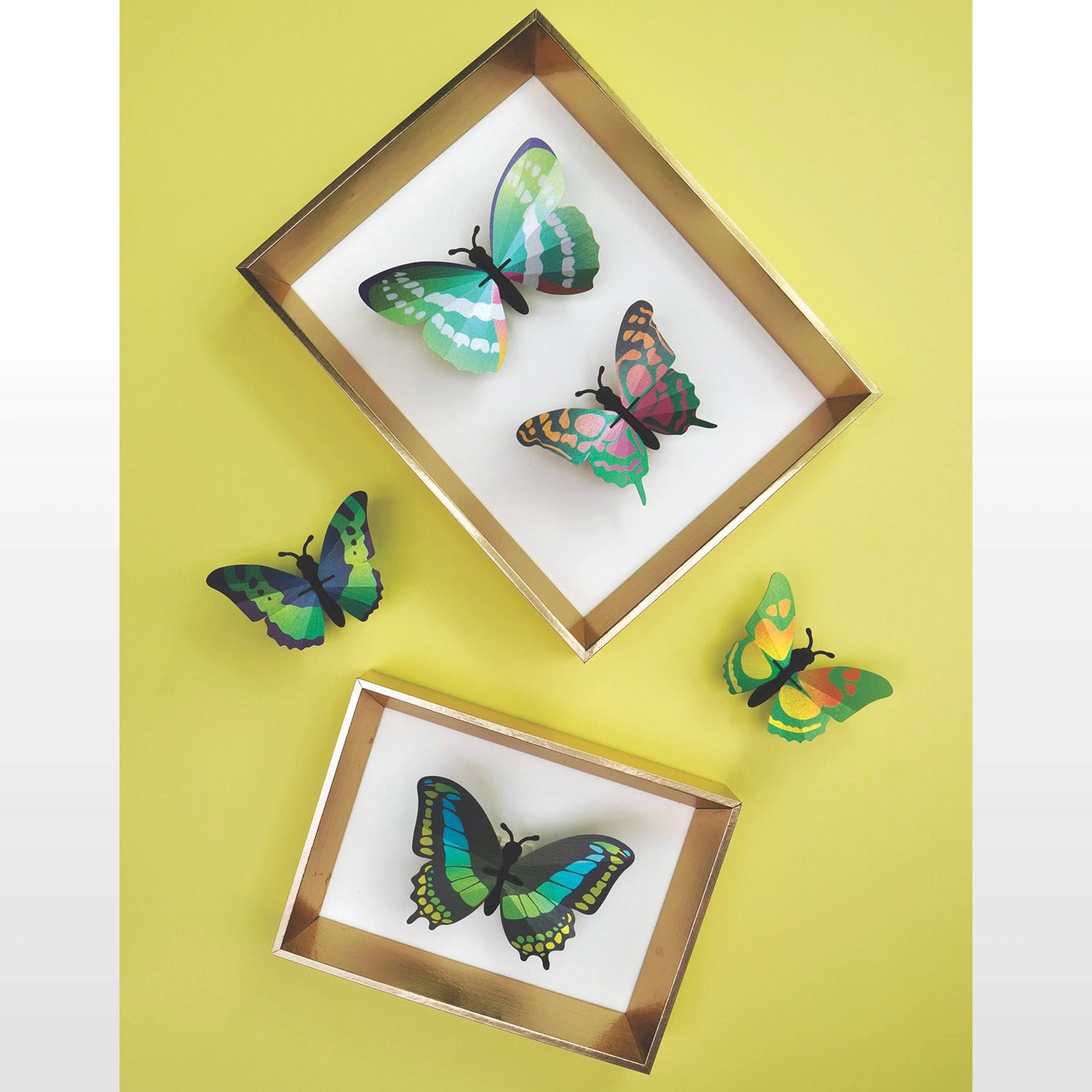 Ensemble de Papillons - vert