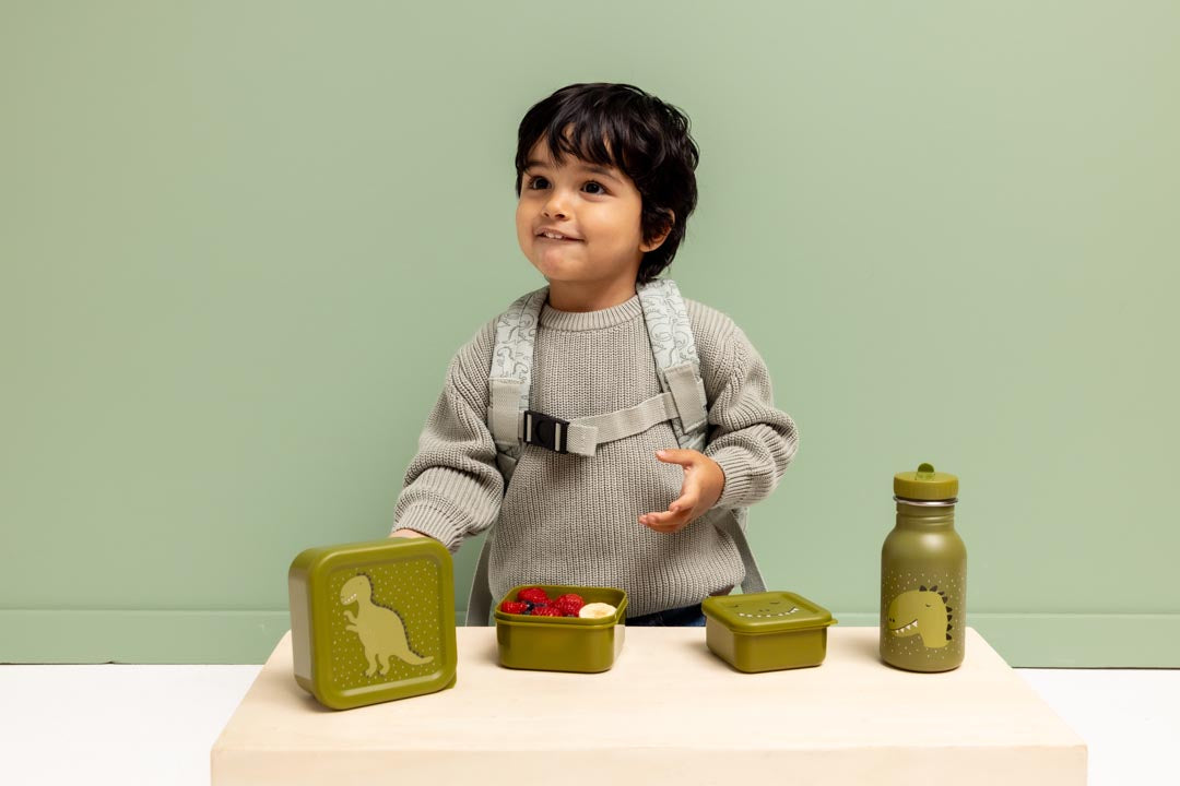 Boîtes à goûter - 3 pièces - Mr. Dino