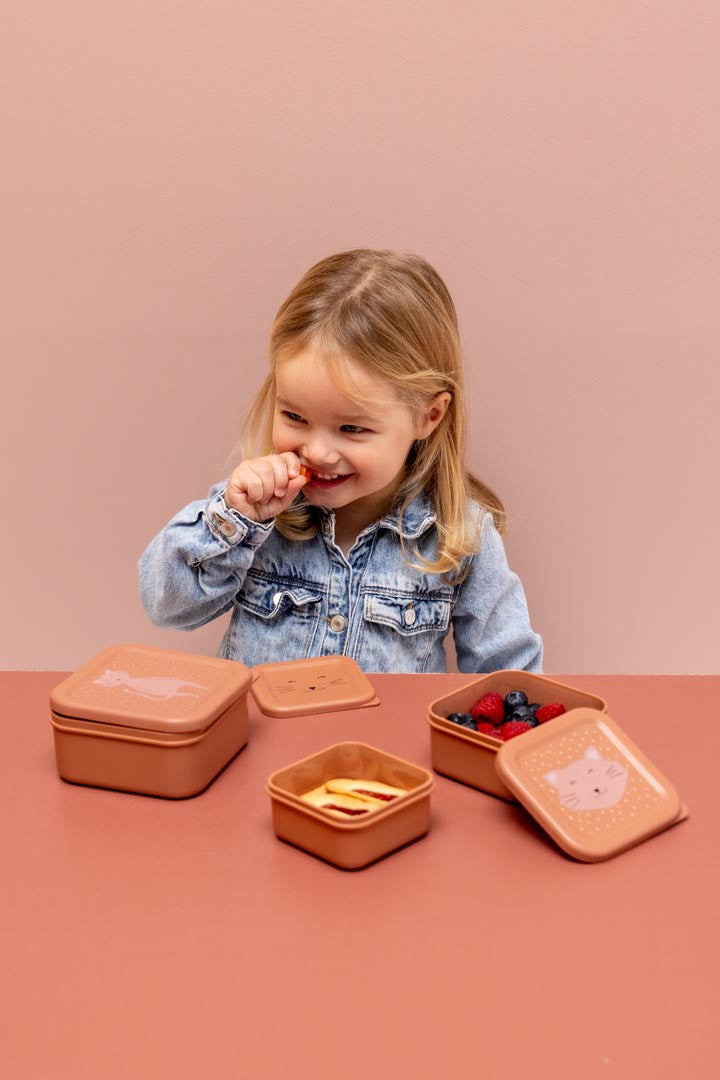 Boîtes à goûter - 3 pièces - Mrs. Cat