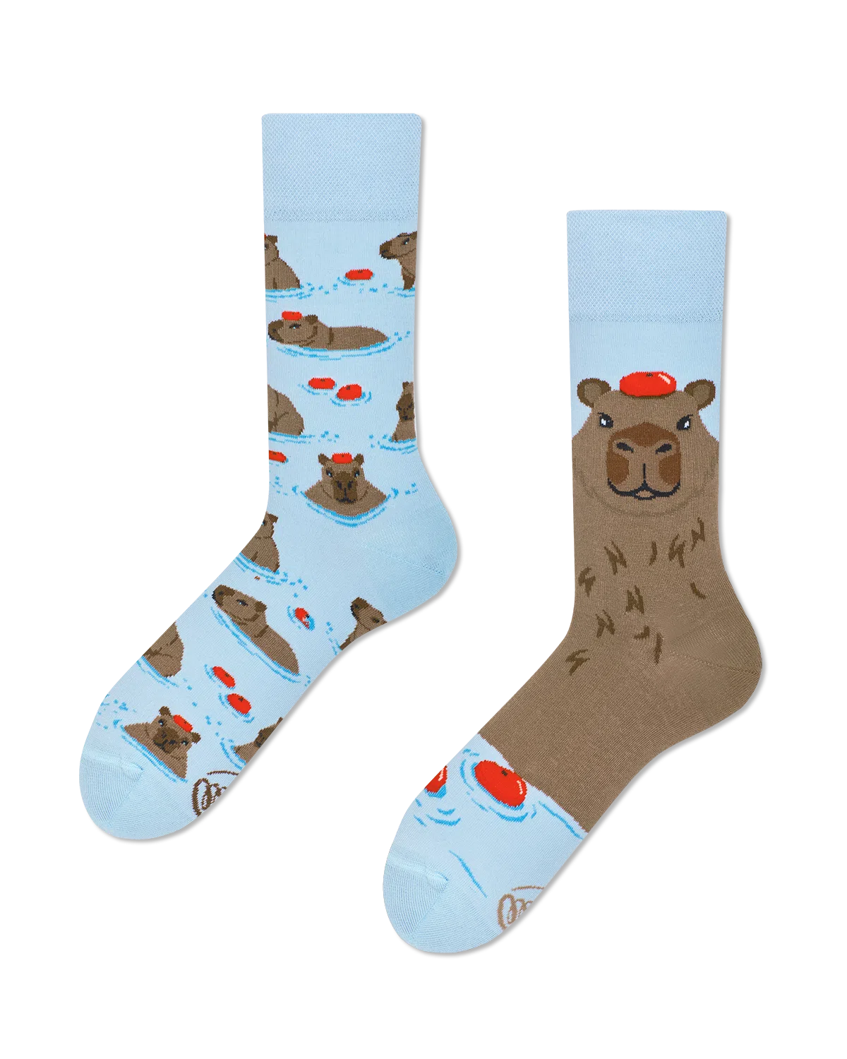 Chaussettes Dépareillées Capybara