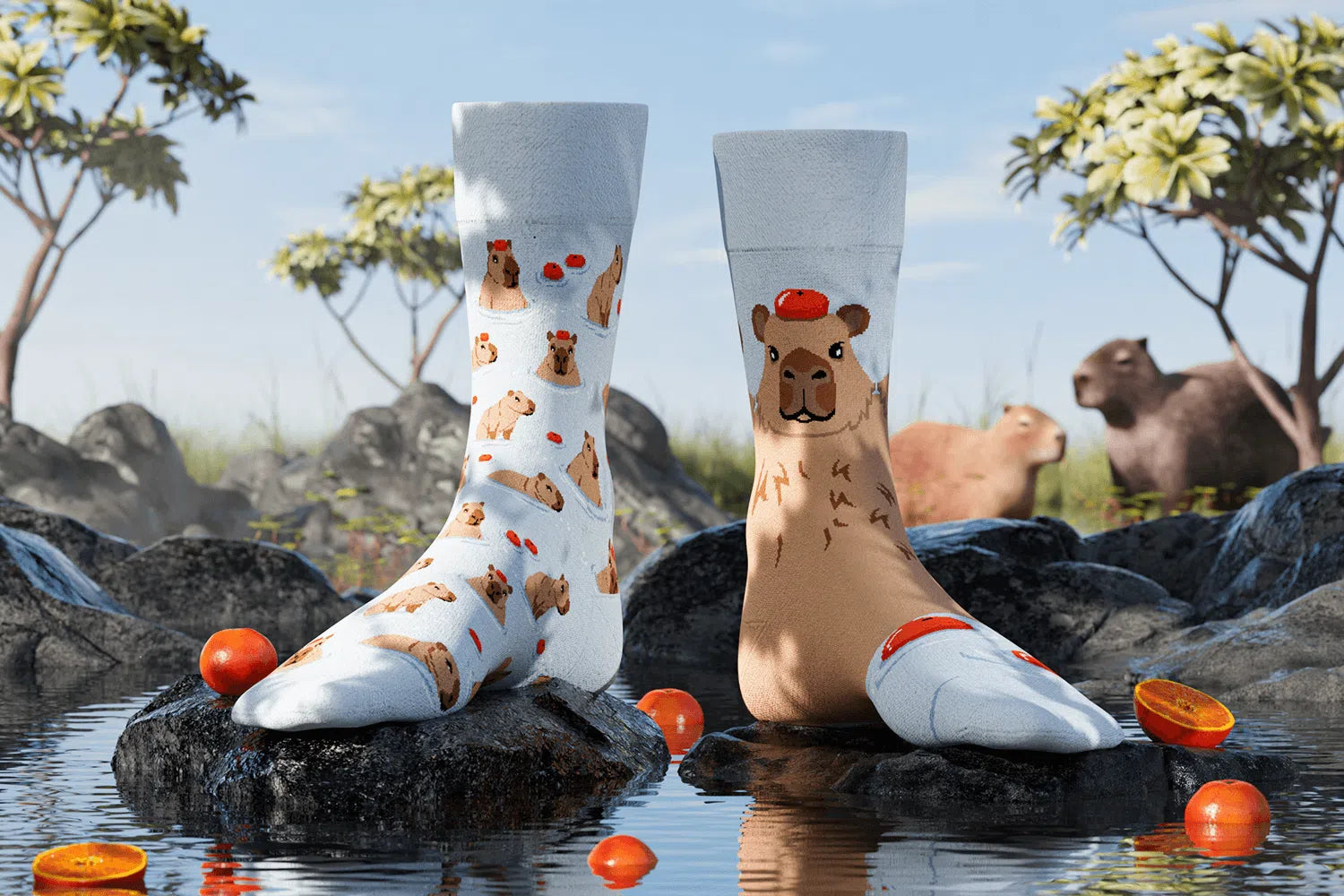 Chaussettes Dépareillées Capybara