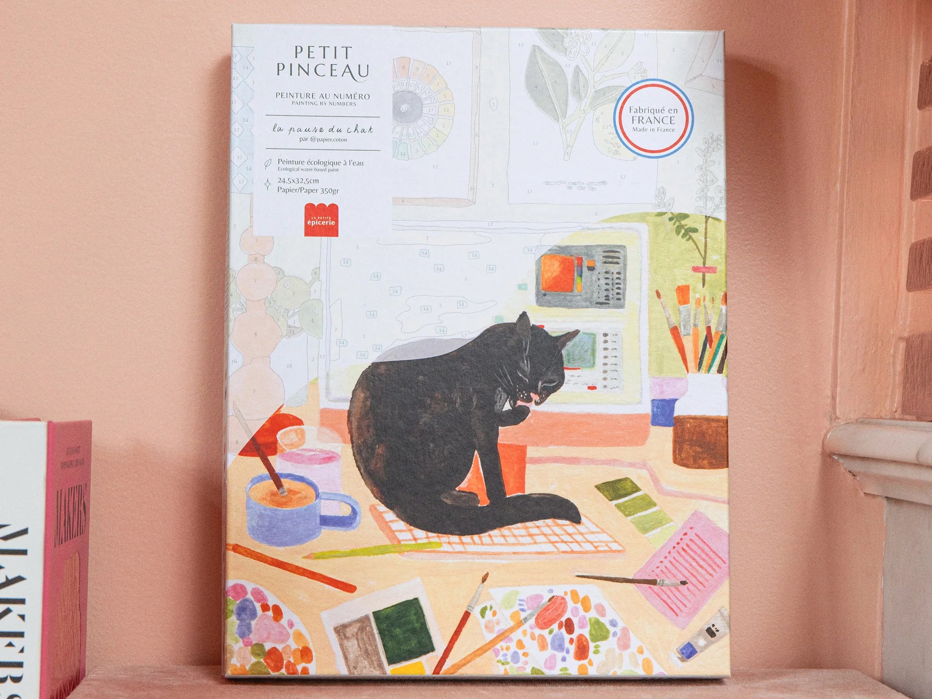 Schilderen op nummer set - De kat breekt