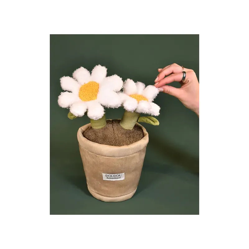 Peluche Botanique - Marguerite