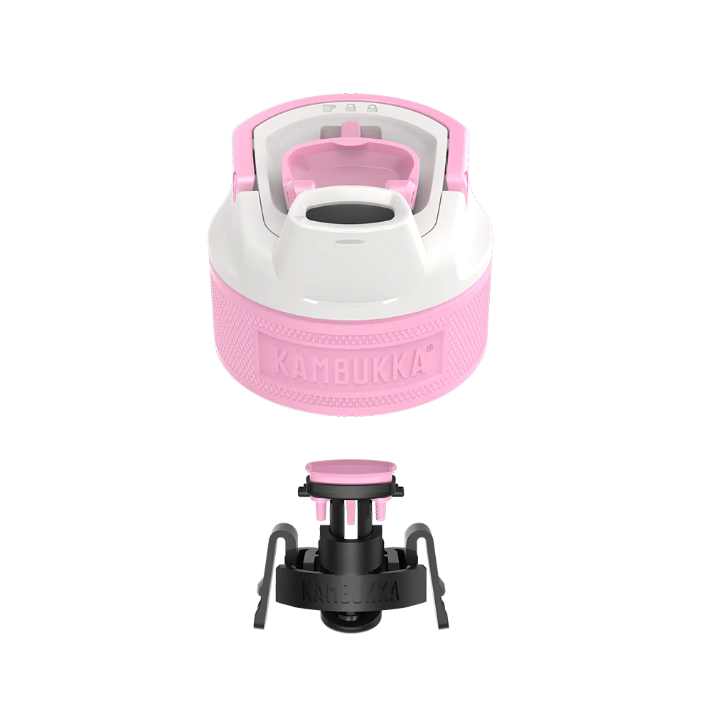 Elton Insulated 1l - Roze Ambitie