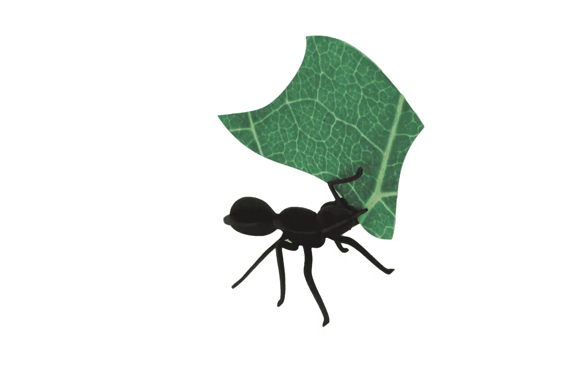 Fourmi Coupe-Feuille en Papier