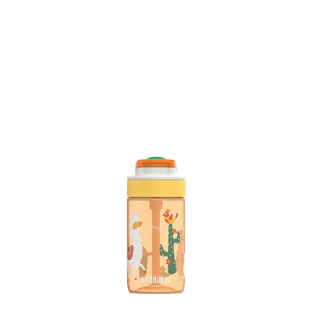 Gourde Lagoon 400ml - Mexican Parade