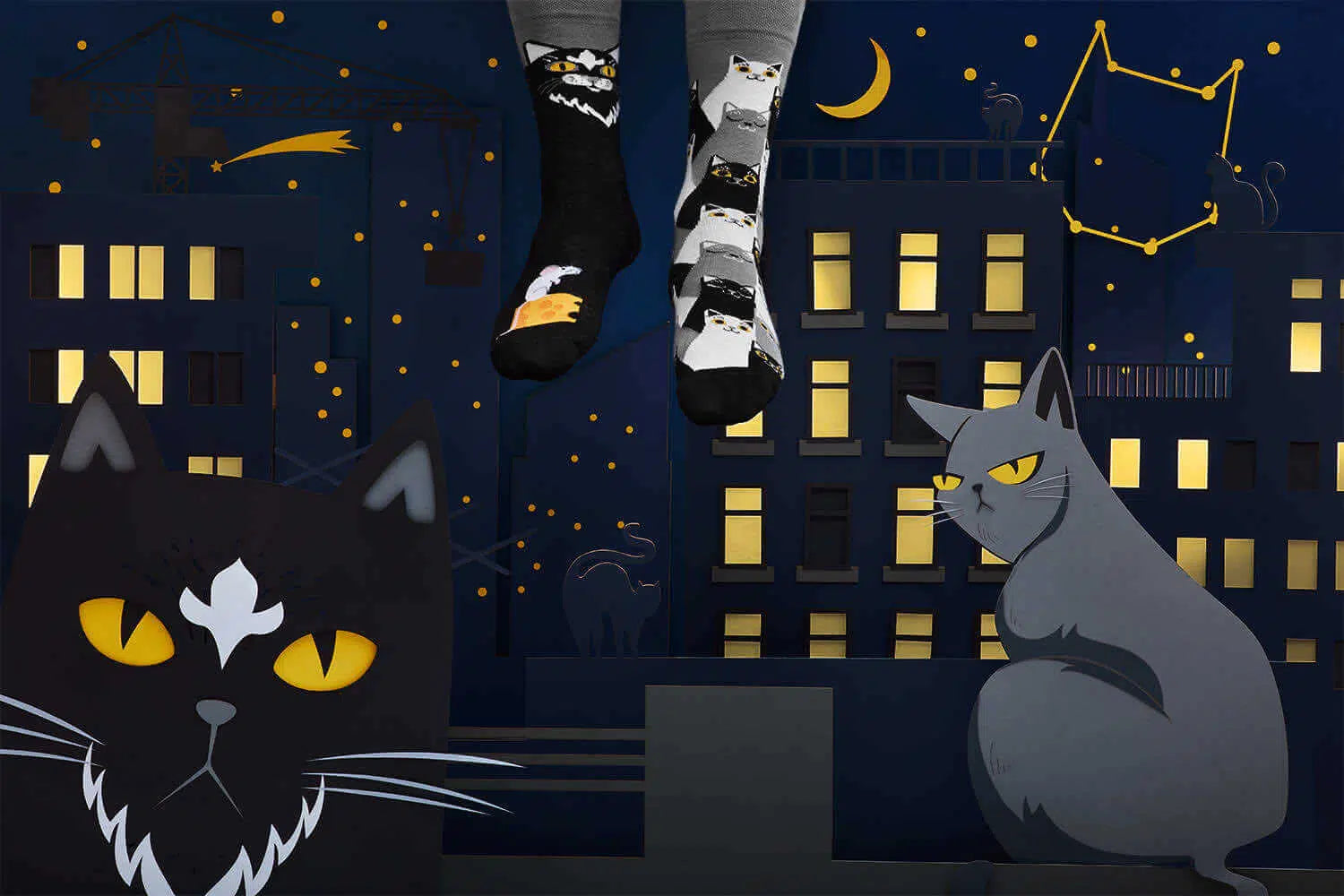 Chaussettes Dépareillées Black Cat