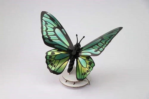 Papillon Aile d’Oiseau vert en papier