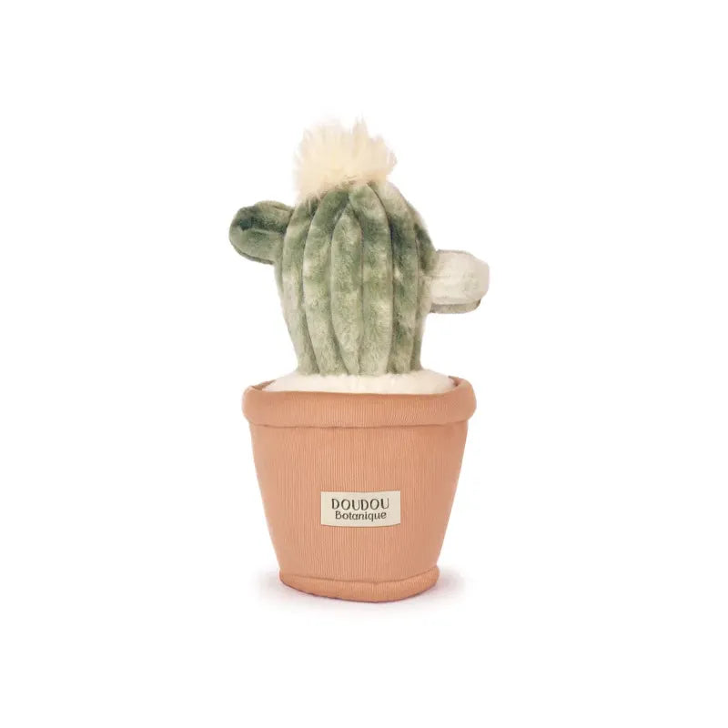 Peluche Botanique - Cactus
