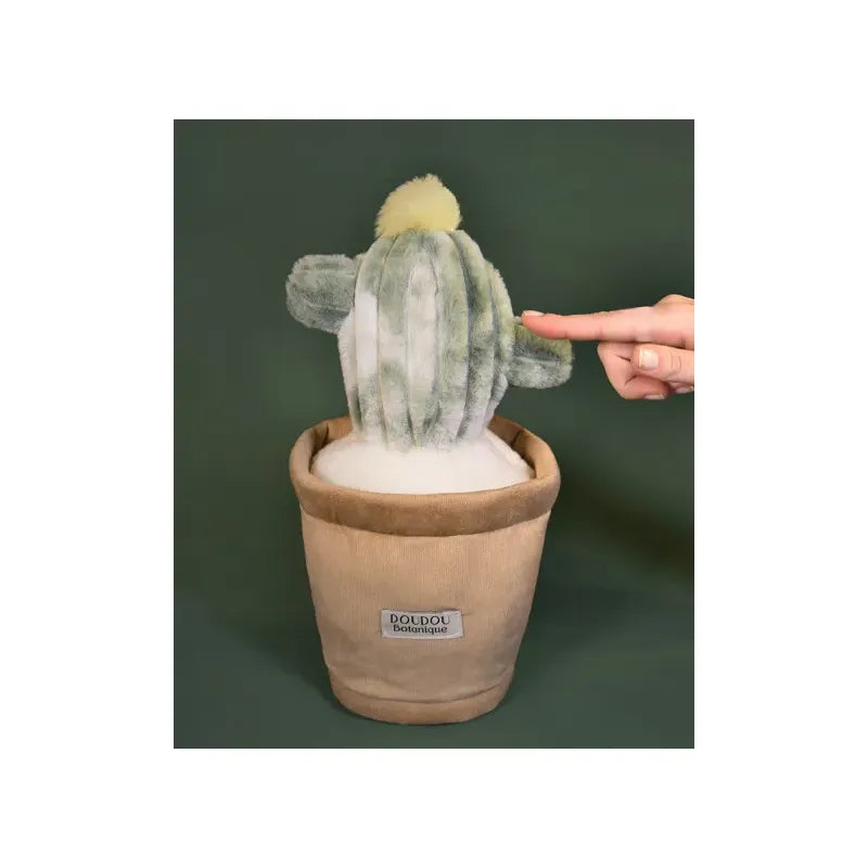 Botanical Plush - Cactus