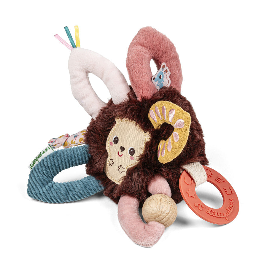 Anneaux sensoriels Léon le hérisson