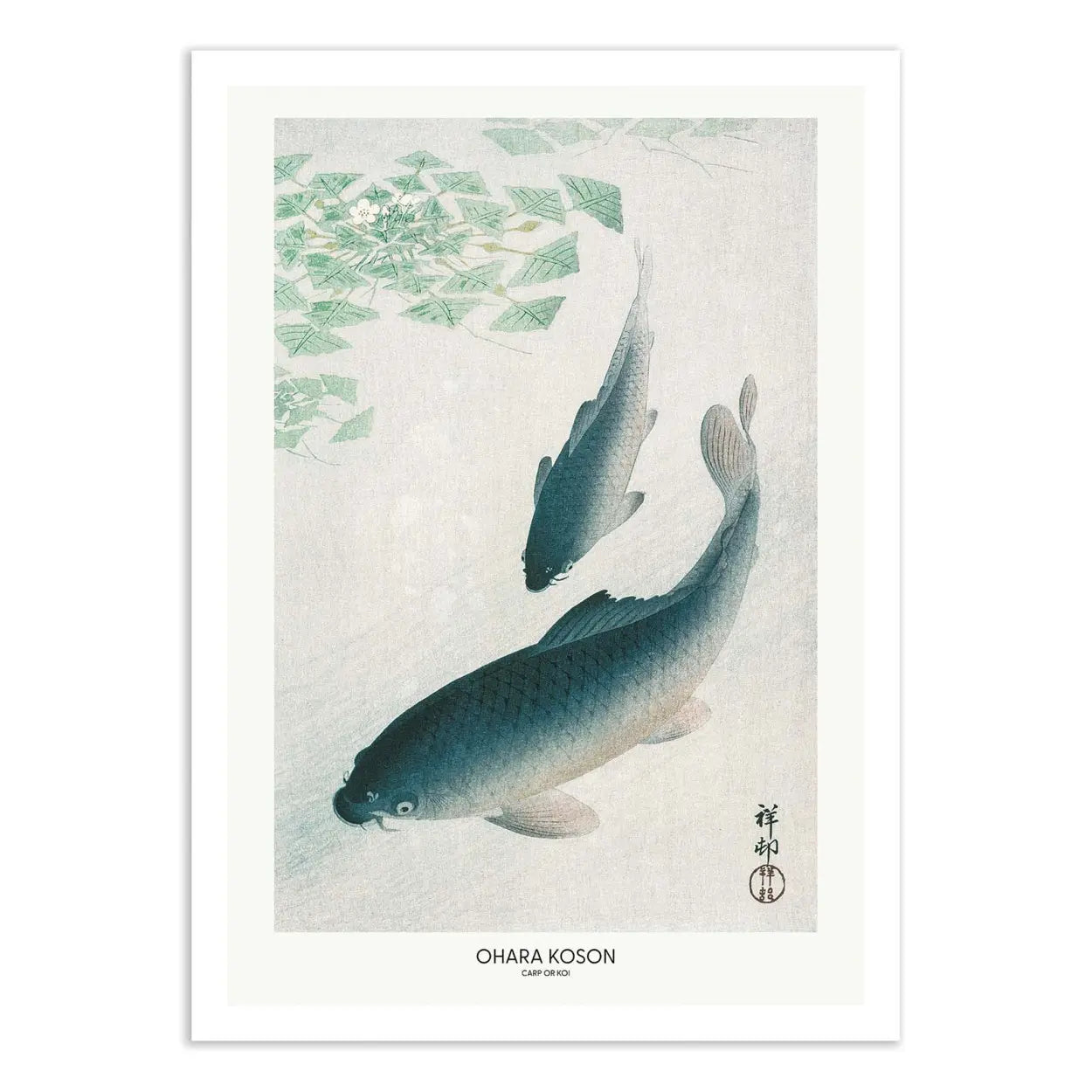 Poster - Carp or Koi - Pictufy