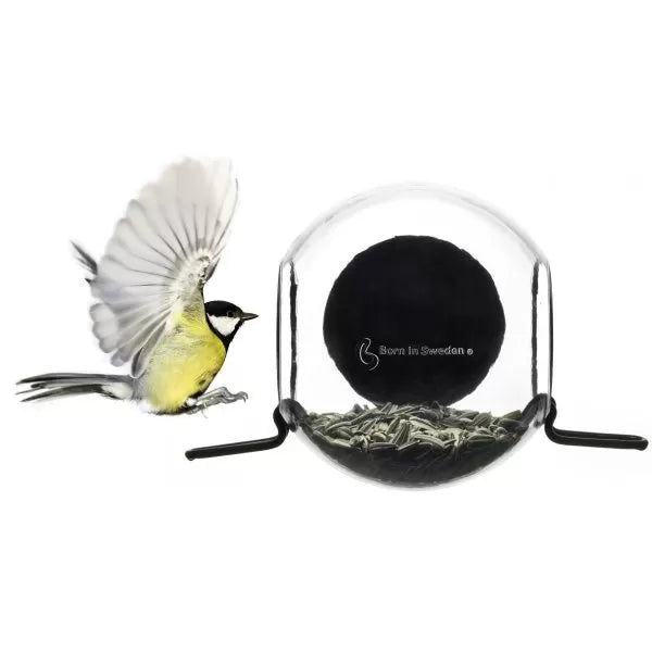 Mangeoire pour oiseaux - Birdfeeder
