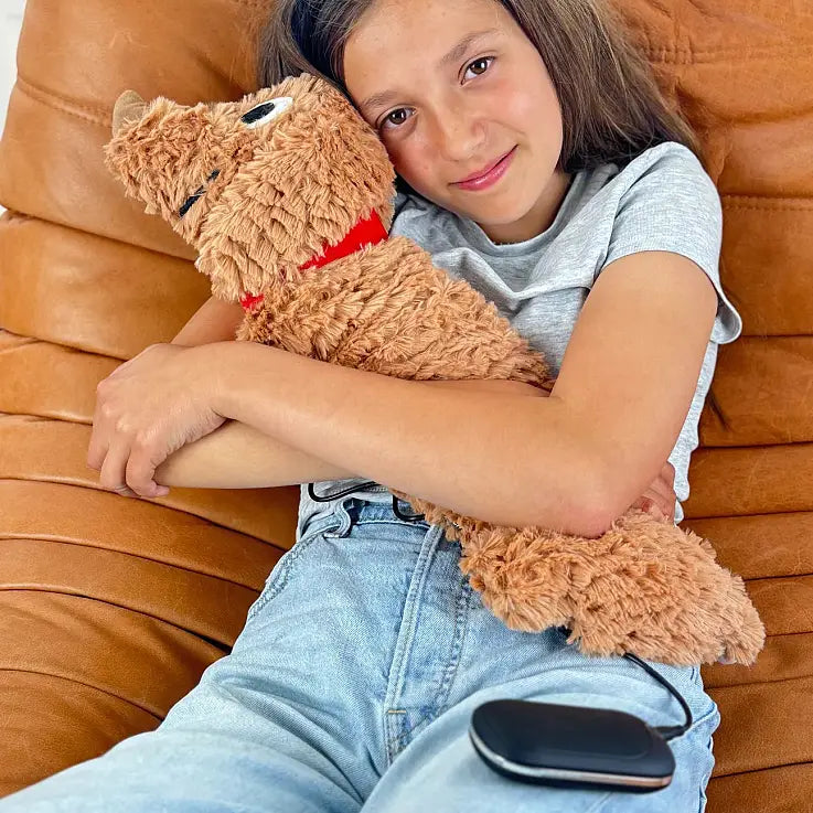 USB Hot Water Bottle - Sausage Dog