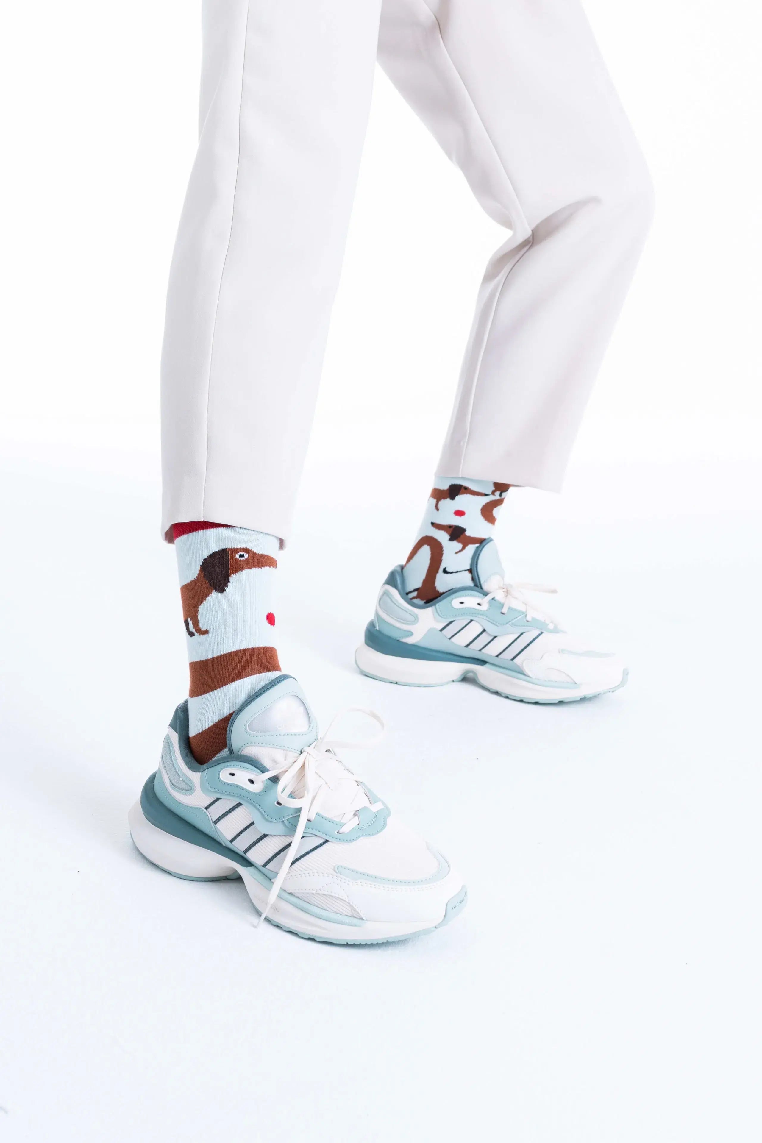 Chaussettes hautes dépareillées - Teckel