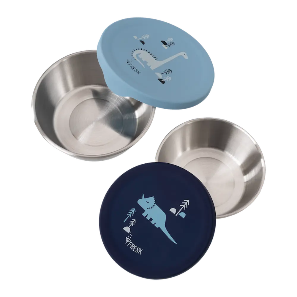 Round Snack Boxes - Dino