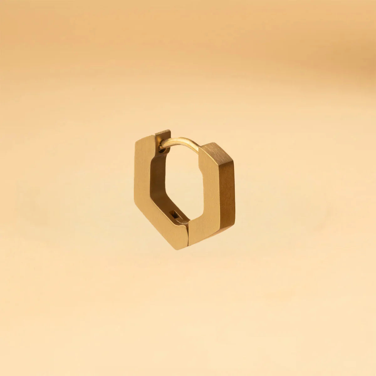 Boucle d'oreille Hexagonale en Titane Dexter