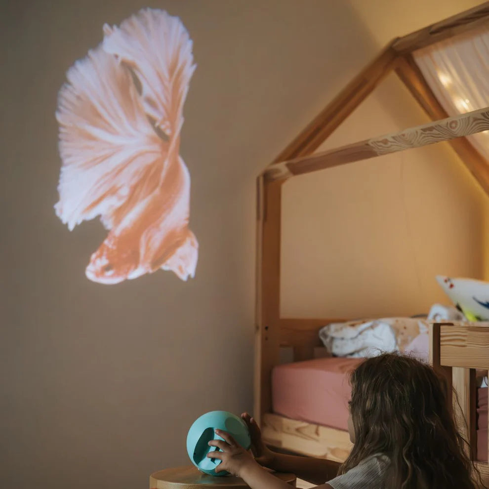 Kidystar - Ocean Planetarium