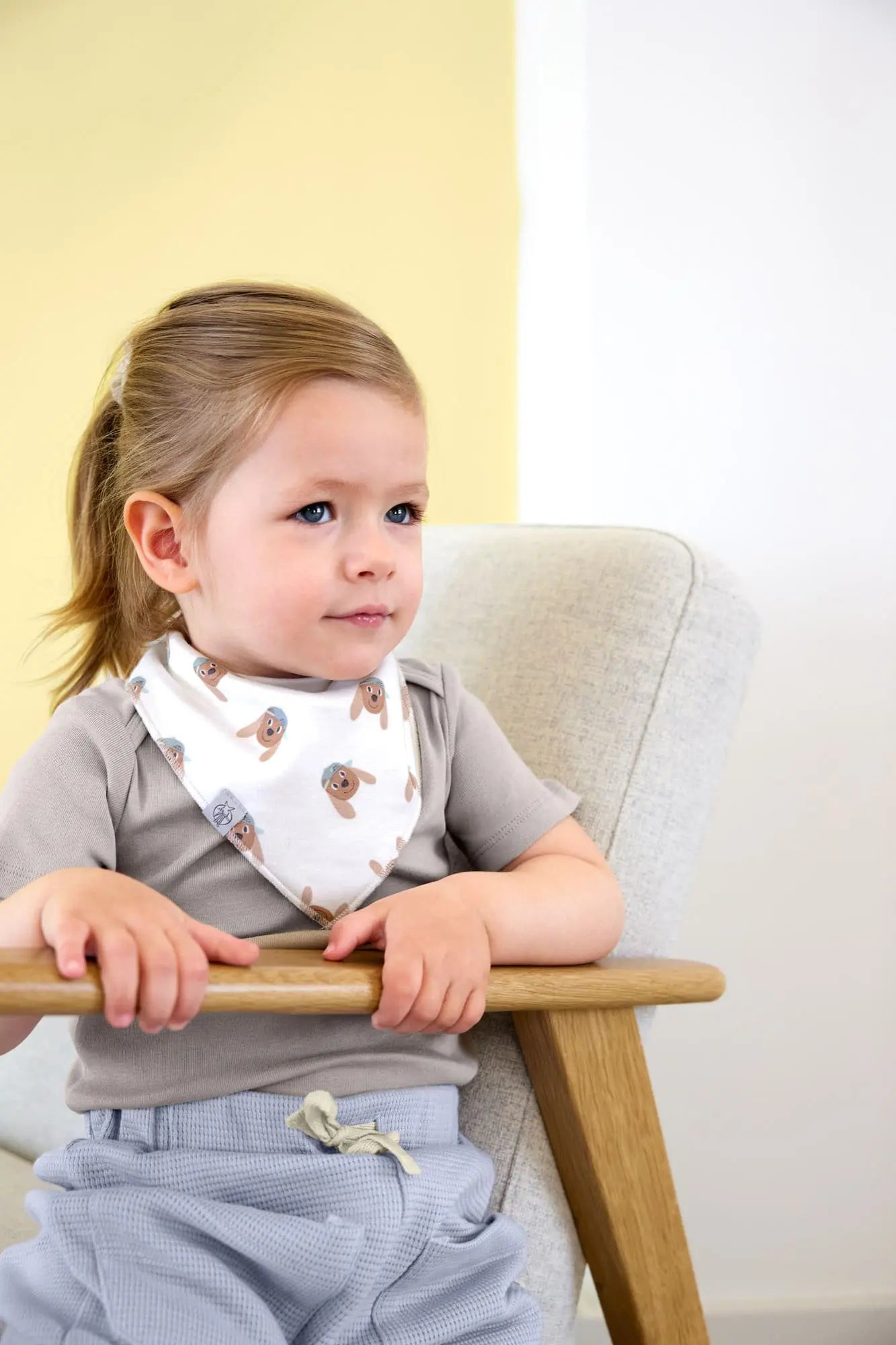 Tiny Team Dog bandana's met col (set van 2)