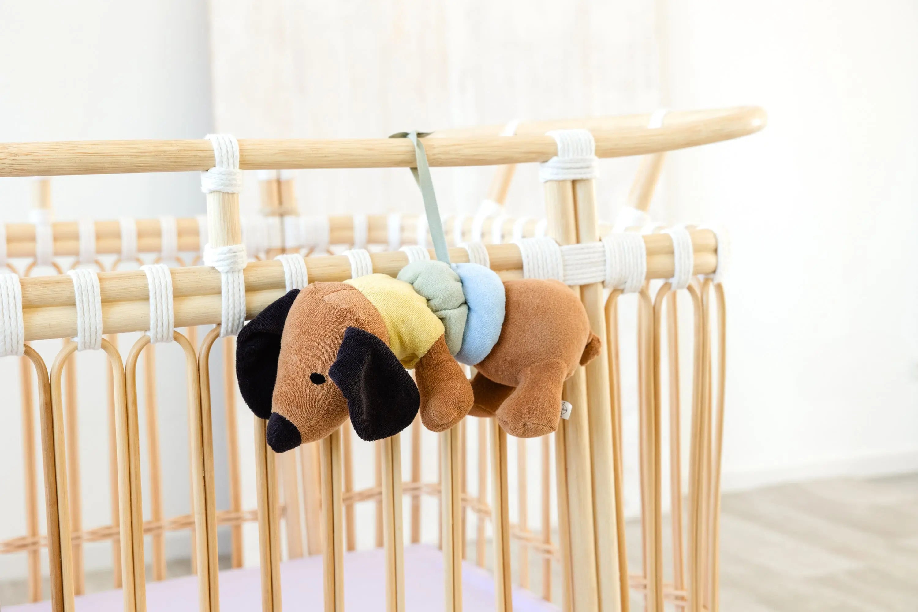 Little Mateys Dog Music Box