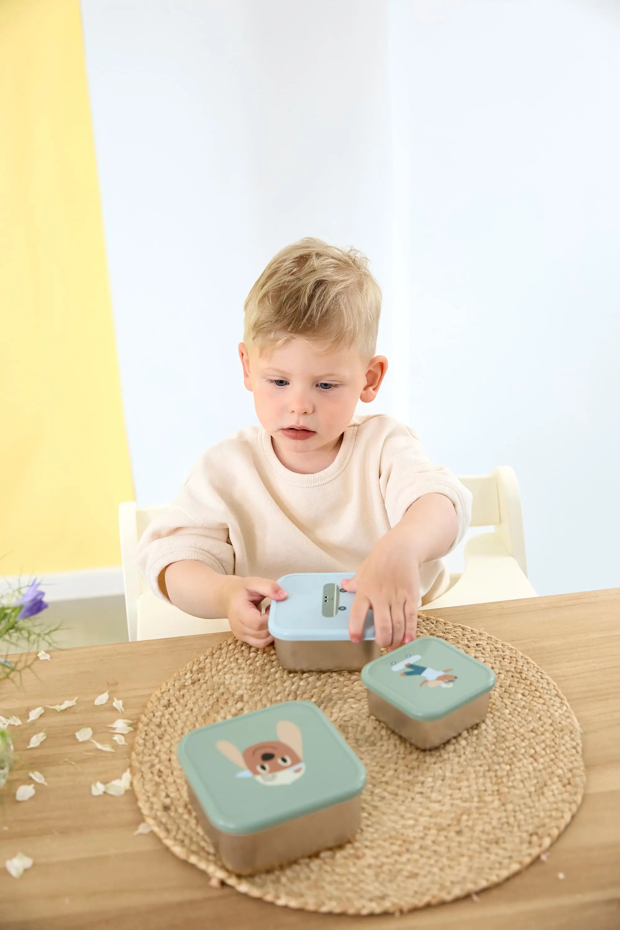 Petites boîtes à goûter inox Team Dog - Vert (lot de 3)