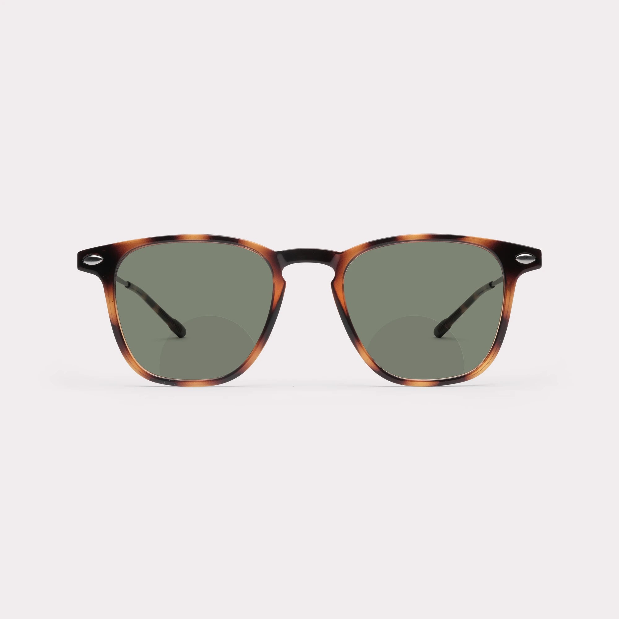 Lunettes de Soleil Bifocales - Dino Tortoise