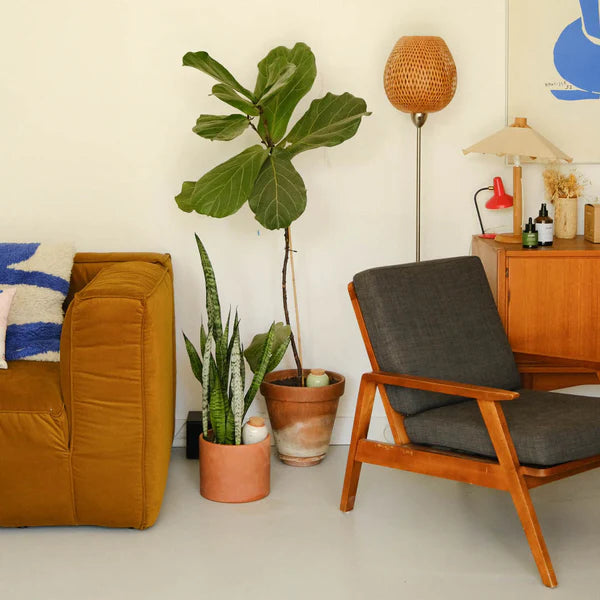 Olla Plant Sprinkler - Mustard Yellow