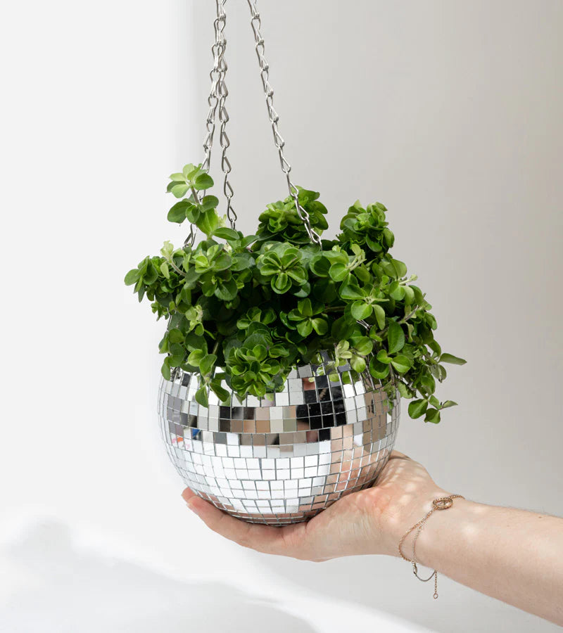 Disco spiegelbol plantenpot