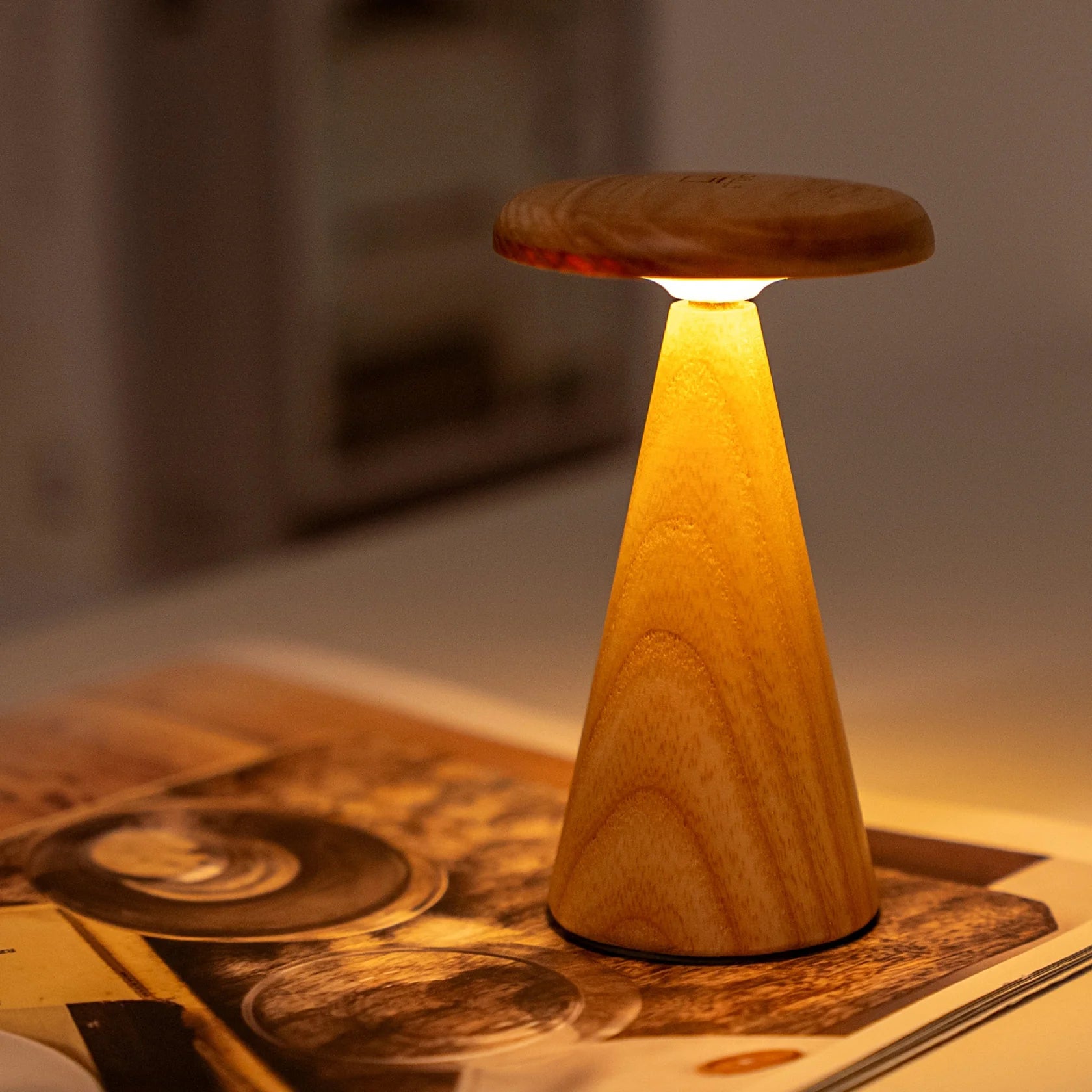 Sylva White Ash Table Lamp