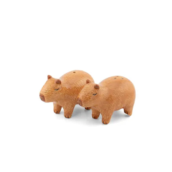 Salière et Poivrière Capybara