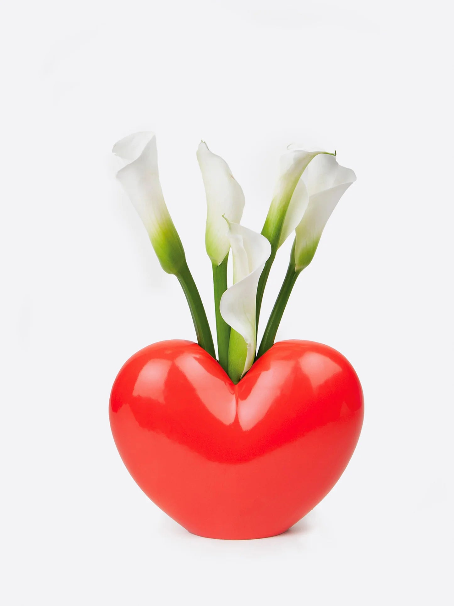 Vaas M - Liefde Rood