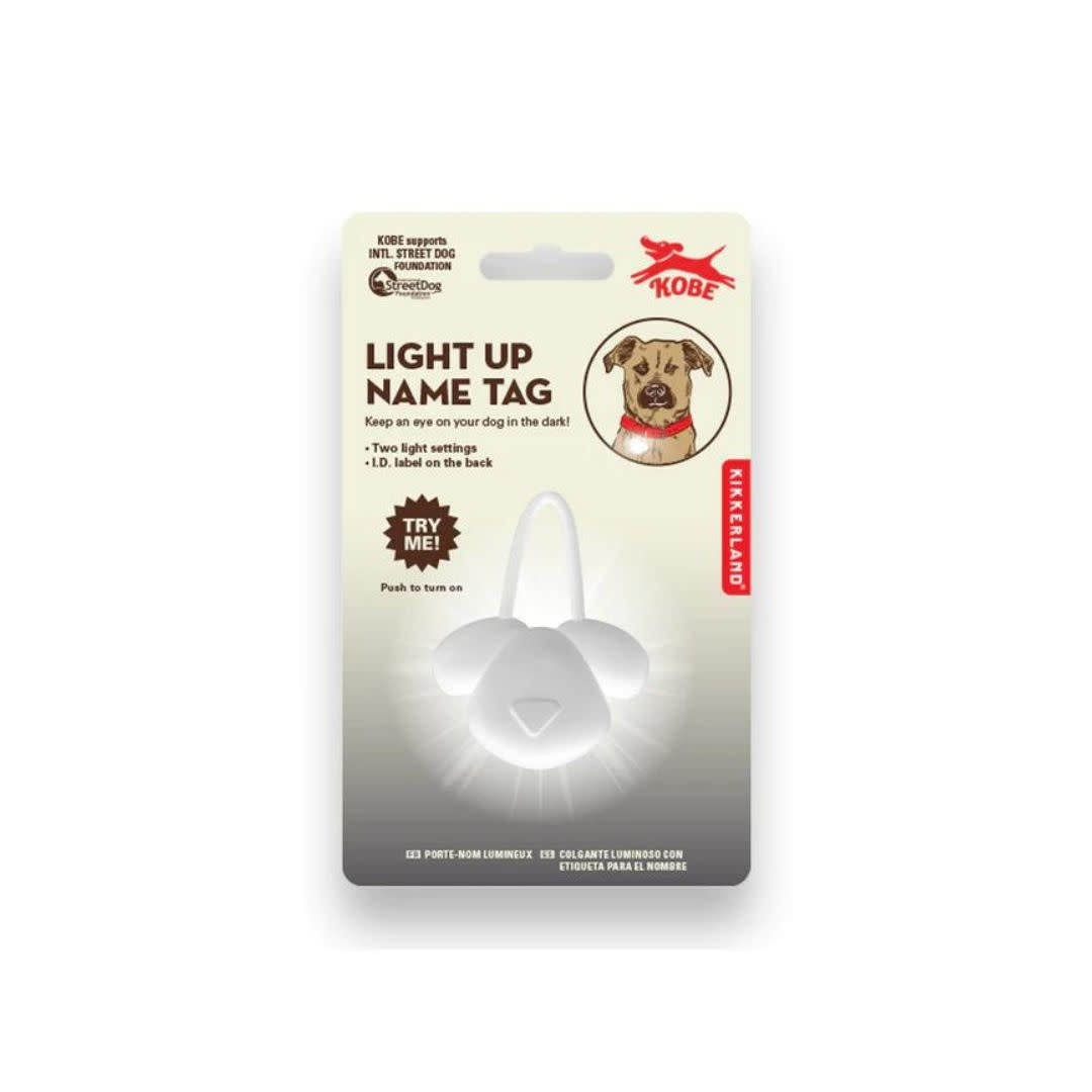 Light Up Name Tag