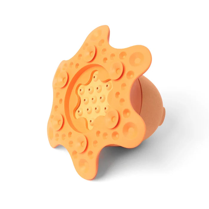 Jeu Flot - Tako le Poulpe