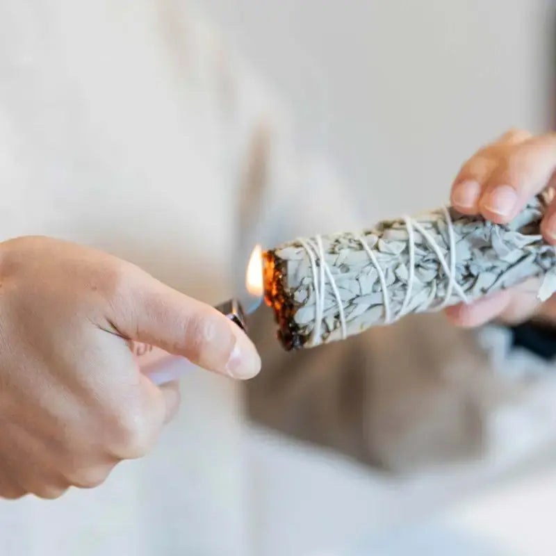 Sauge Blanche à Brûler